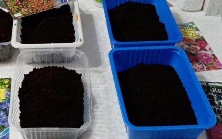 ����� ����� ��������� �� ������� � 2026 ����