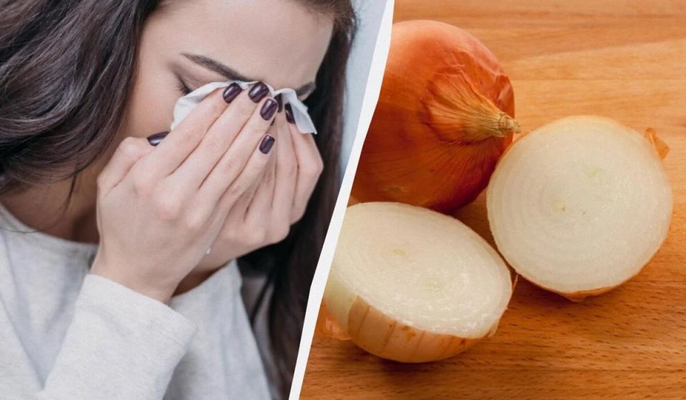 ������ ������� �� ����� ������� ����: ������� 