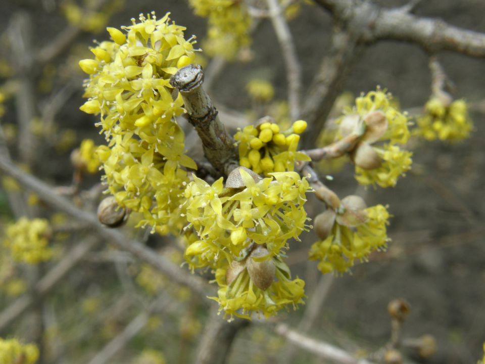 �����: ������� ��������� ����� � ��������� ������