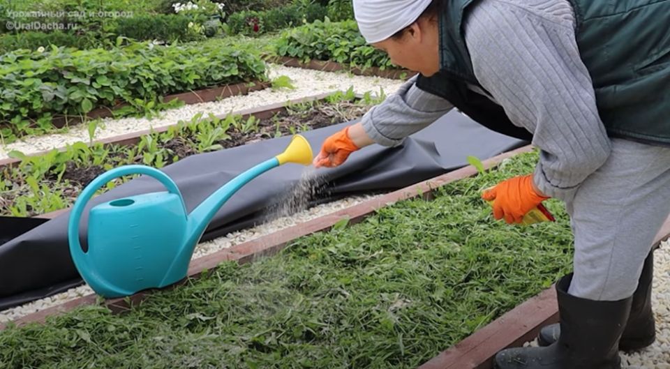 Мульчирование на участке: как выбрать материал и не навредить почве