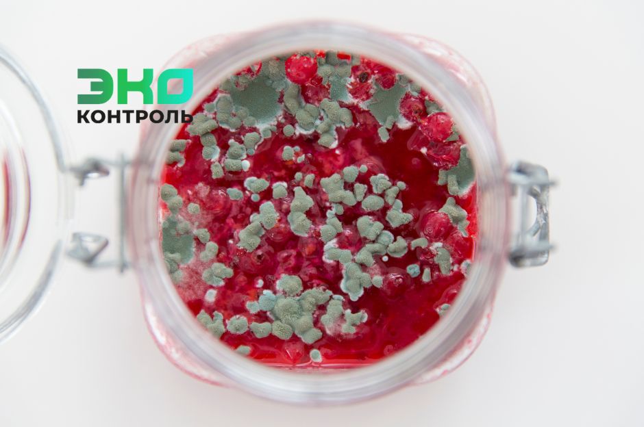 ������� �� �������: ������ ����� ��������� �����, ��� ������� �����