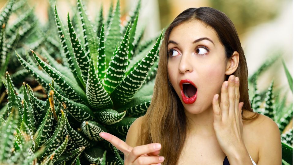 ��-�� ���� ���������������� ������ �������� �������� �����: ������� ��� �� �������