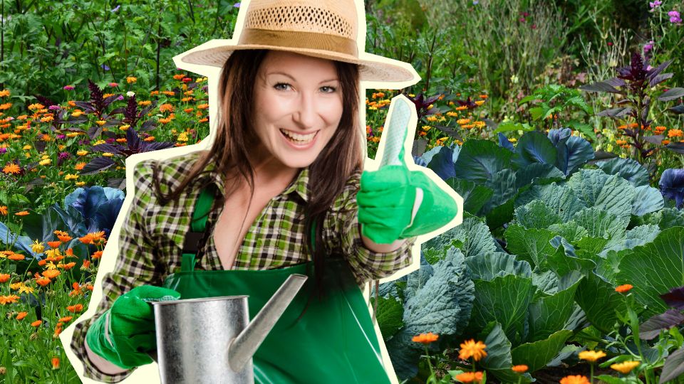 ����� ����� �������� �������� ������� ��������� � �������: ��� ������, ���������� � ����������