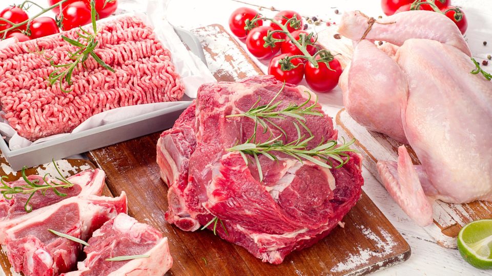 �������� �� ����: ����� ���� ����� ���� ������ ���� ��� ����� ��� ��������