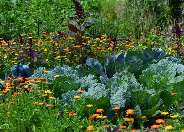 �������� �������� � �����������: �������� ������� � ������