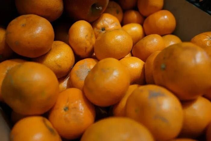 ������ ��������� ��������, � ������ ���������� ��� ������